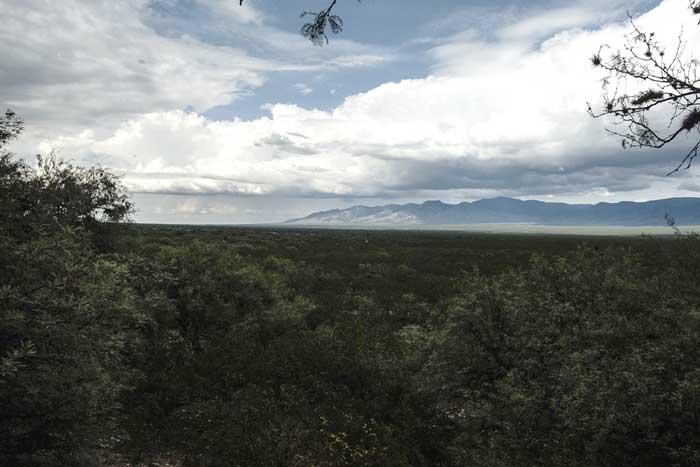 Wirikuta - Fotografía ©Juaquín Urrutia 2021