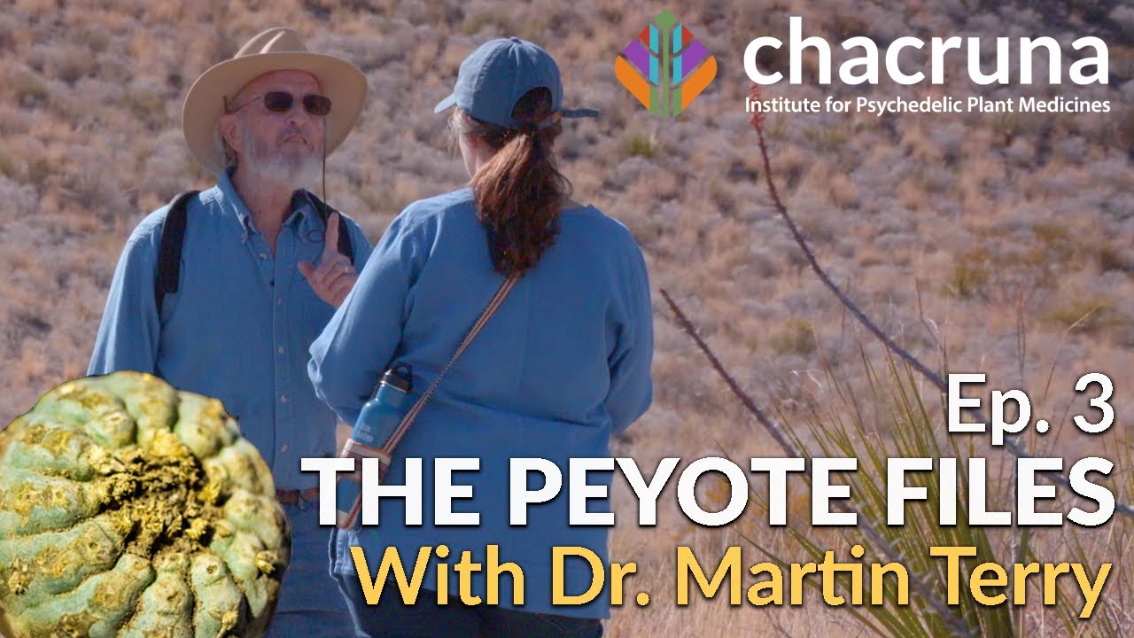 The Peyote Files Episode 3