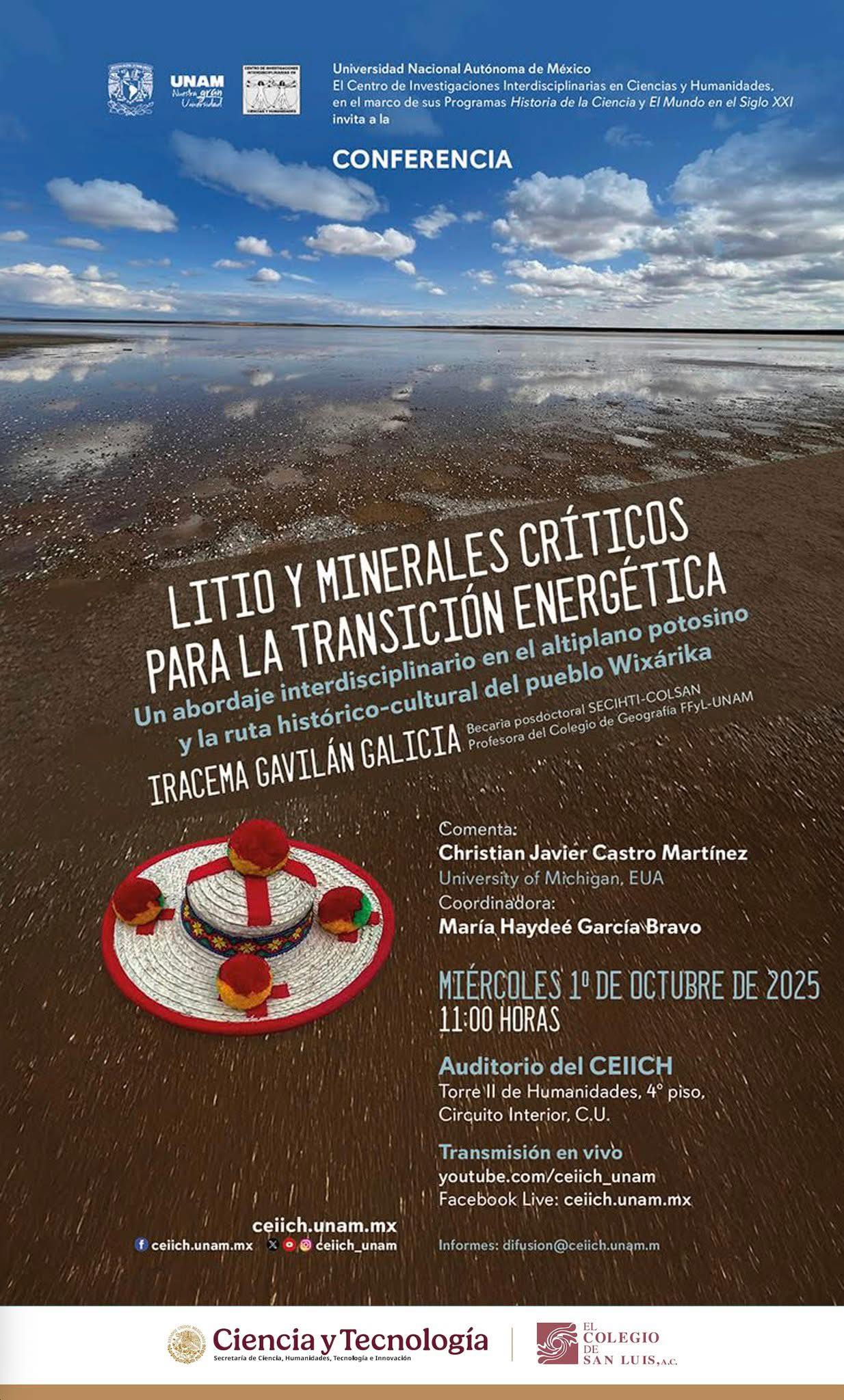 Litio y minerales crítico para la transición energética