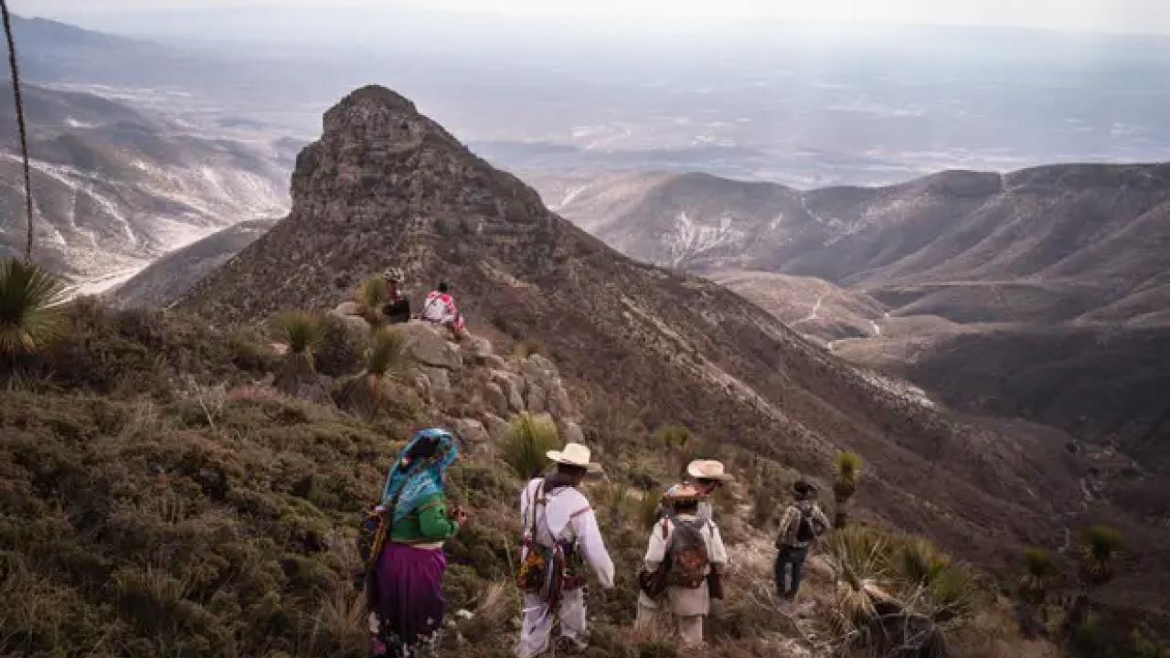 Wixárika People on their pilgrimage to Cerro Quemado sacred mountain in Wirikuta. Photograph ©Nicola Zolin 2024