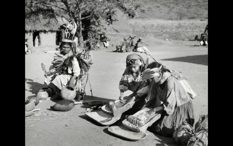 Dos "Tenanches" moliendo cactus peyote ~ Pochotita. Foto #N30399 ~ Edwin F. Myers 1938. Cortesía del Museo Peabody, Universidad de Harvard, Cambridge, MA.