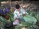 Harvesting Tobacco