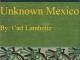 Unknown Mexico, Volume II