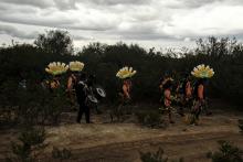 Danzantes para el día de San Juan Bautista. Derechos reservados de Joaquín Urrutia.