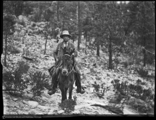 Carl Lumholtz in Mexico 1892