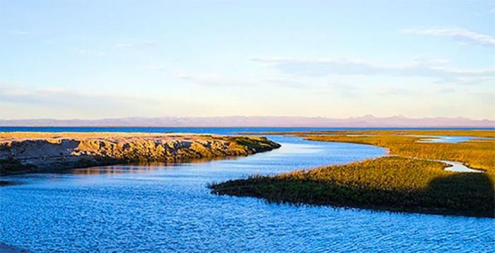 The Vizcaíno Biosphere Reserve in Baja California Sur has four active mining projects.