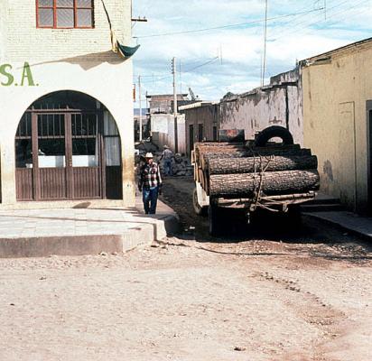 Camión maderero en Huejuquilla con árboles talados ilegalmente en Tuapurie ~ Fotografía ©Juan Negrín 1985