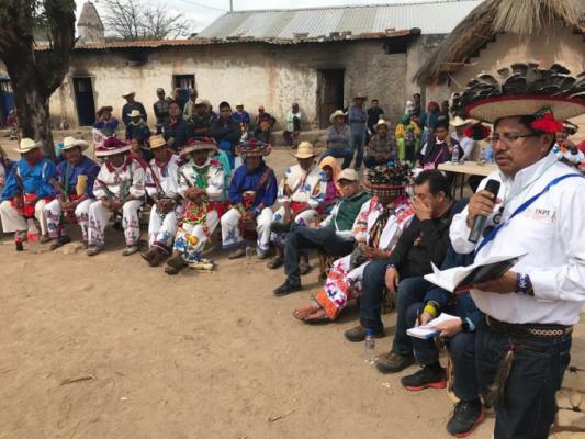 Wixárika community recovers 25% of ancestral lands in Nayarit