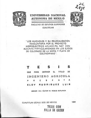 Cover page of Thesis Rodríguez Luis