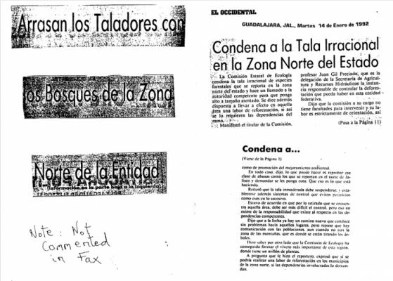 tala de bosques