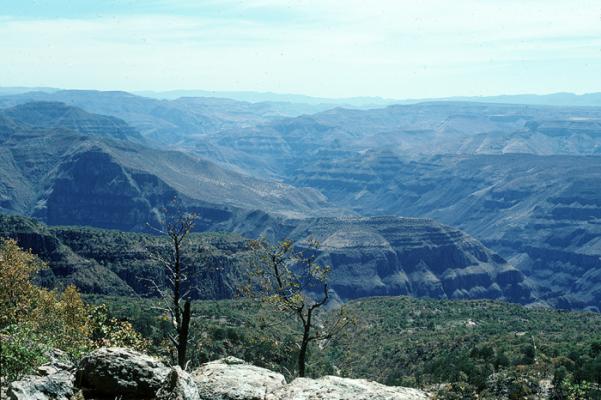 View of the Sierra Madre Occidental ~ Photograph ©Juan Negrín 1978 - 2025