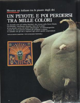 Un peyote, e poi perdersi tra mille colori