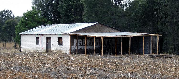 Tuapurie's Tamatsi Paritsika's Preparatory School.