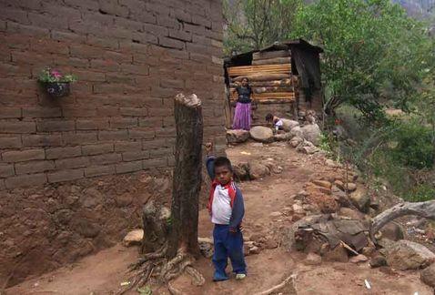 Aldea La Azalea, uno de los dos asentamientos huicholes enclavados en el corazón de la zona de Huajimic ©Agustín del Castillo