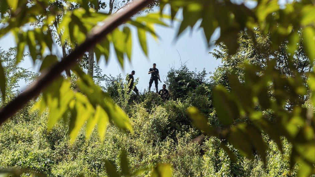 Brasil se mantiene como el país más mortal para defensores, con 46 asesinatos. Colombia lo sigue con 32 muertes. Foto tomada de la página web www.globalwitness.org