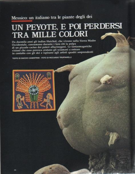 Un peyote, e poi perdersi tra mille colori